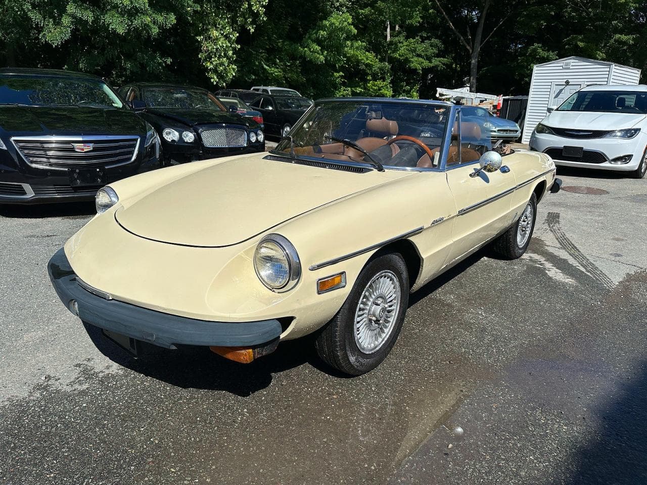 1982 Alfa Romeo Veloce 2000 Spider