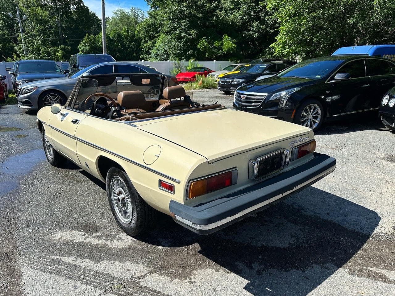 1982 Alfa Romeo Veloce 2000 Spider