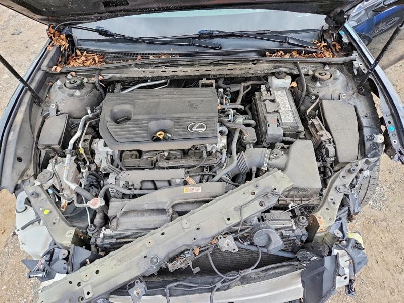 2022 LEXUS ES 250 BASE