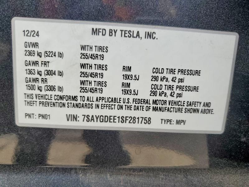 2025 TESLA MODEL Y