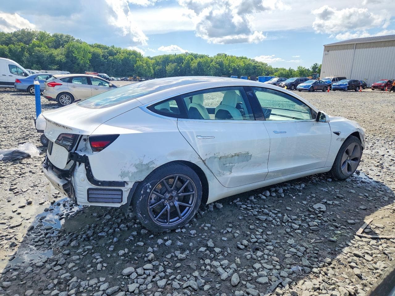 2020 Tesla Model 3