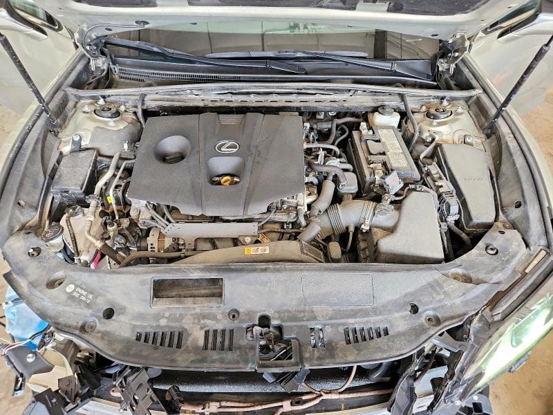 2021 LEXUS ES 250 BASE