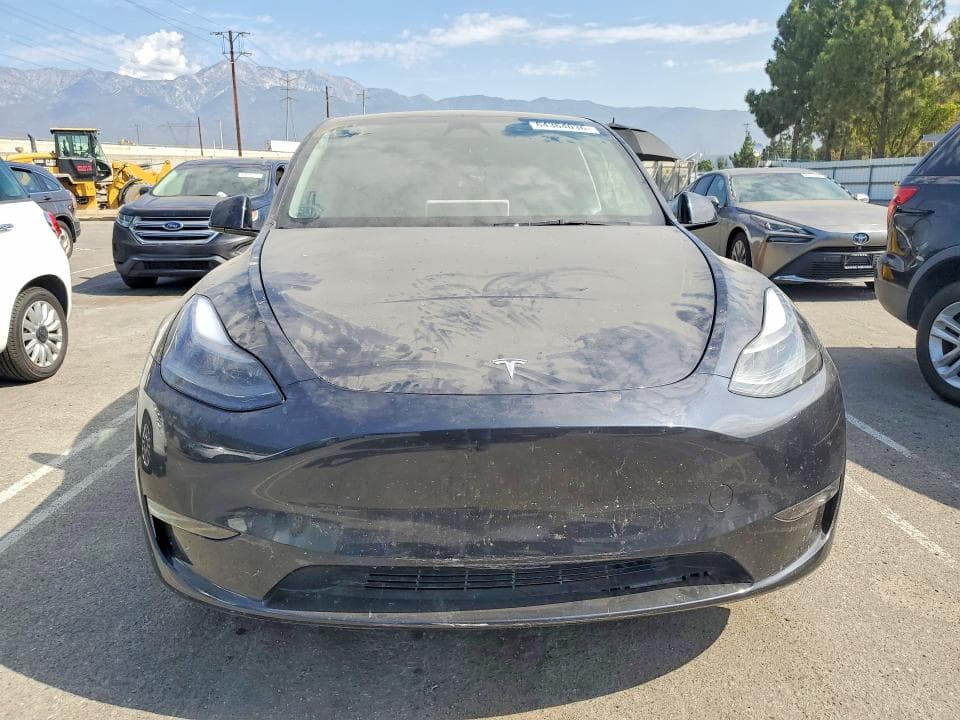 2025 TESLA MODEL Y