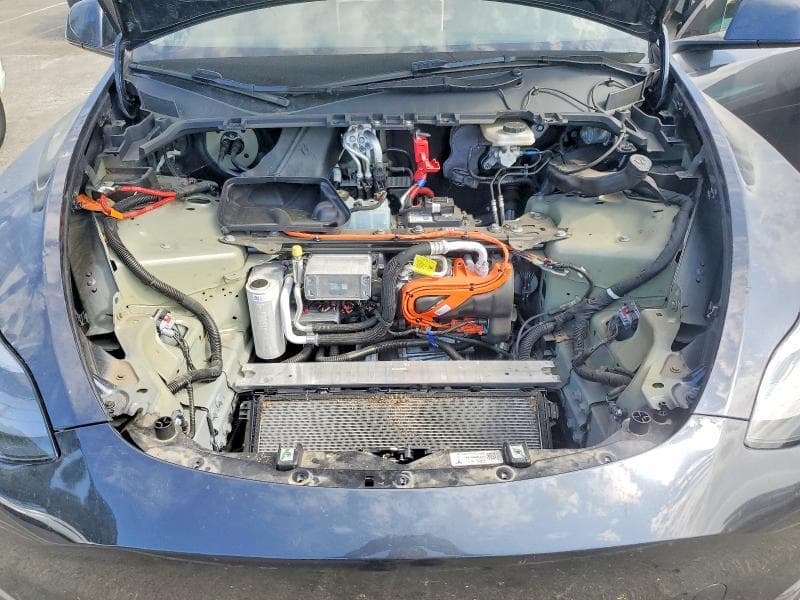 2025 TESLA MODEL Y